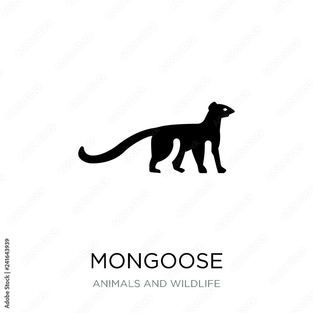 mongoose icon vector on white background, mongoose trendy filled mongoose icon vector on white background, mongoose trendy filled