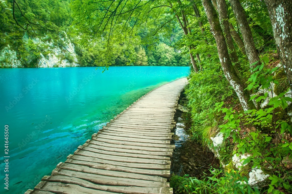 Obraz premium Beautiful lake in Plitvice National Park