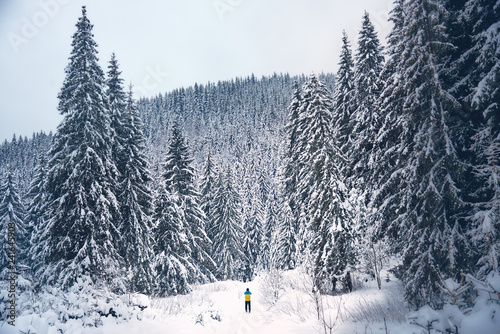 Man Alone in Winter Landscape photo