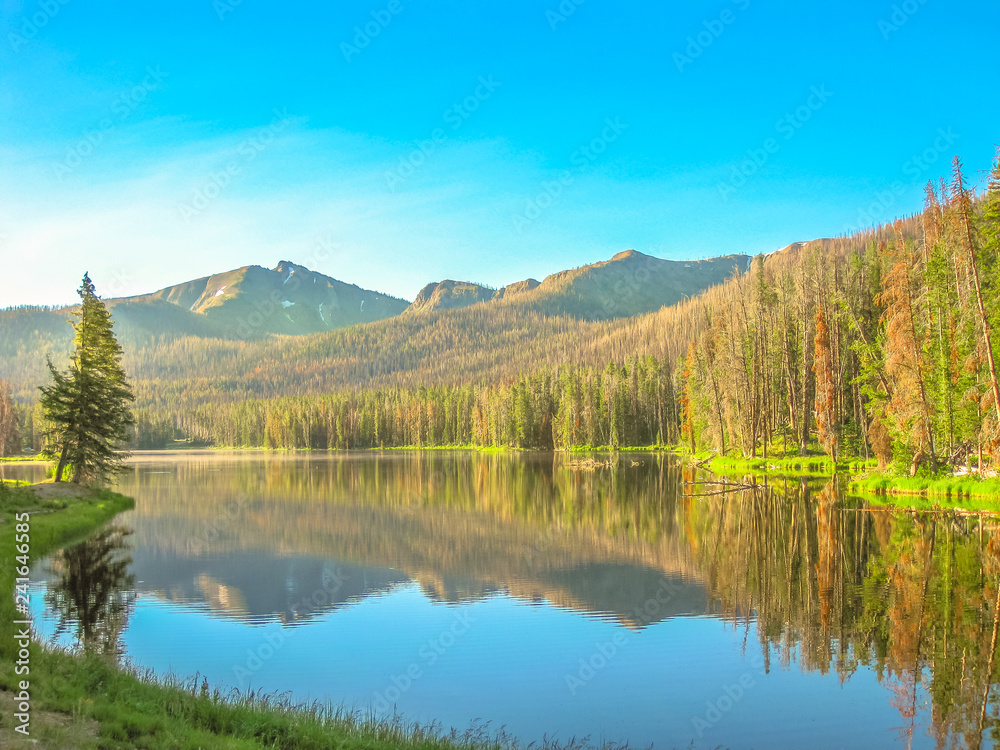 Two Ocean Lake mirroring at Grand Teton National Park, Wyoming, United States. Scenic landscape reflecting in the calm waters of the lake. North America in summer season. Blue sky with copy space.