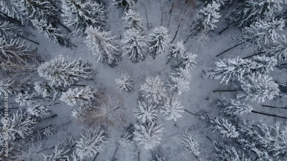 Aerial view above snowy forest on a cold winter day in Southern Finland.