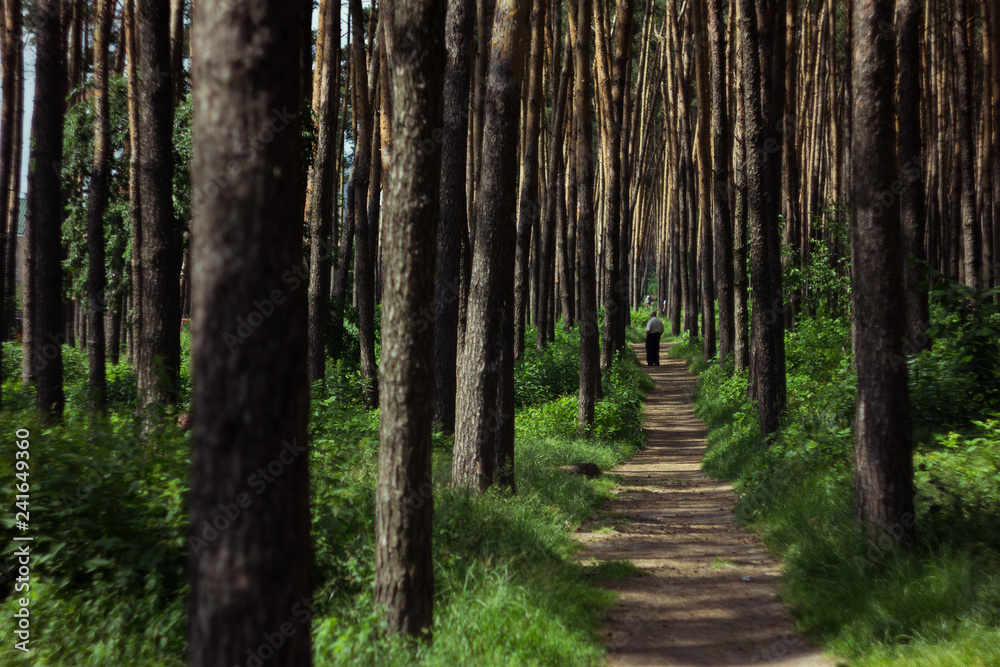 Elderly man on a park road in green grass and trees