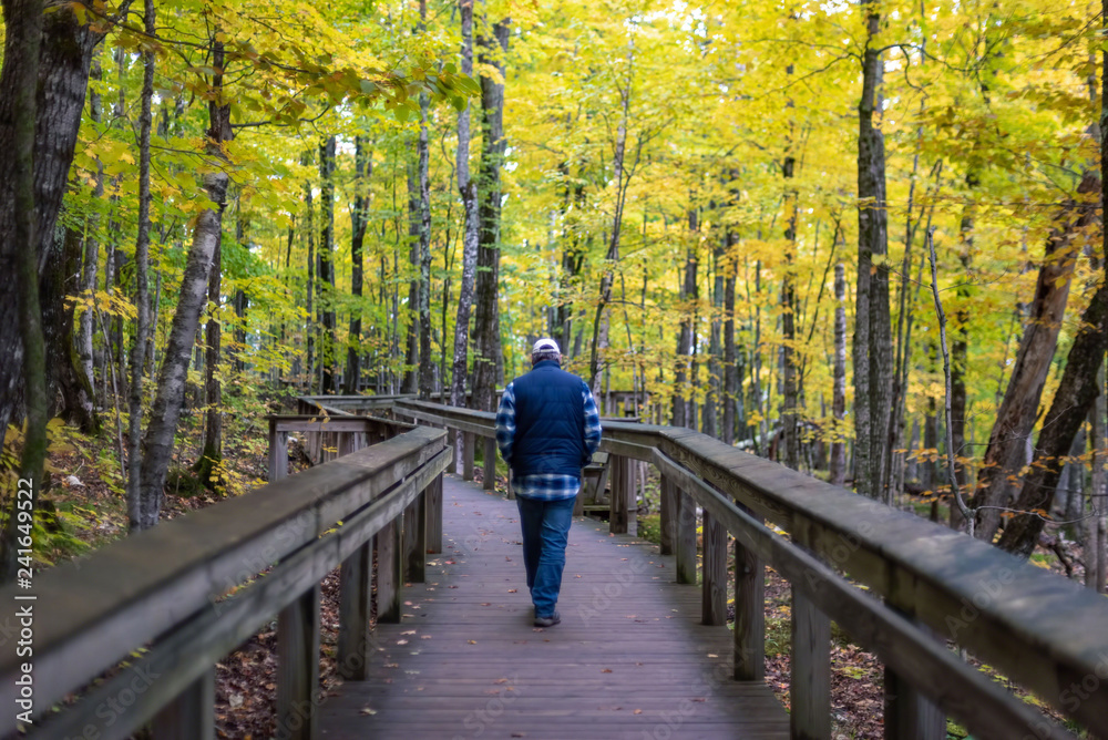 Man walking down hiking path in autumn Man walking down hiking path in autumn