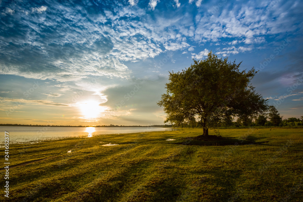 Fototapeta premium tree landscape beautiful tree sunset standing near the river and beautiful sunrise or sunset with tree alone and sun colorful sky