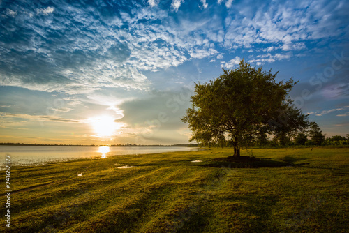 tree landscape beautiful tree sunset standing near the river and beautiful sunrise or sunset with tree alone and sun colorful sky