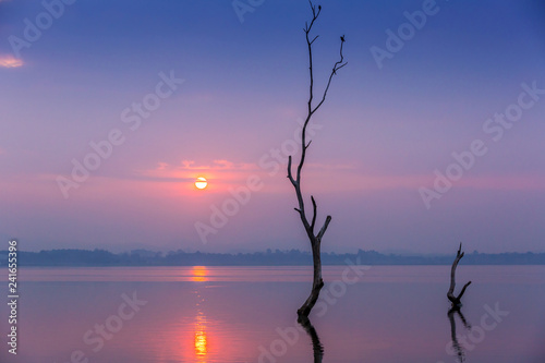 silhouette of Birds sitting on dead wood in front of Sun rise over big lake of Bangpra Reservoir, the famous place in Chonburi Thailand, Orange color Tone