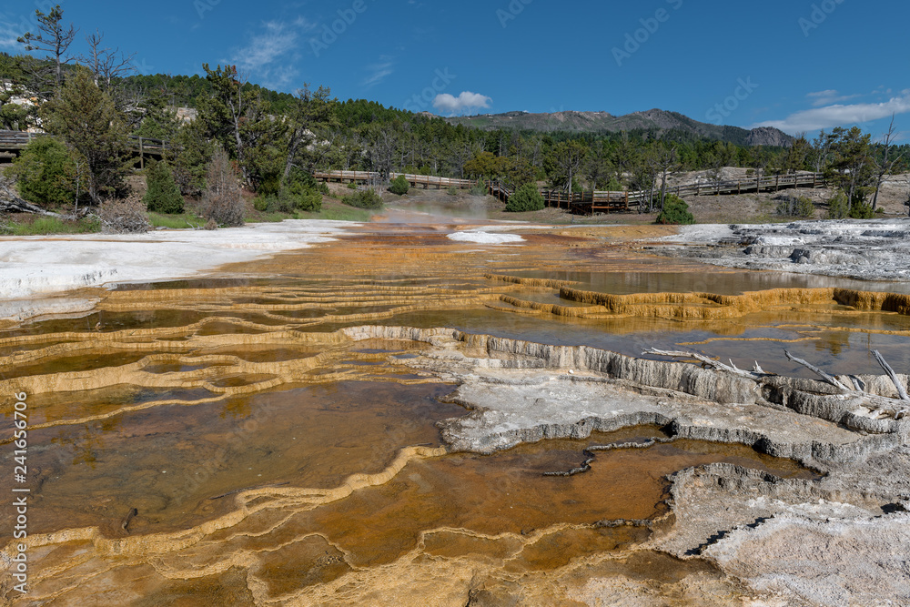 Mammoth Hot Springs is a large complex of hot springs on a hill of travertine in Yellowstone National Park. Wyoming, USA