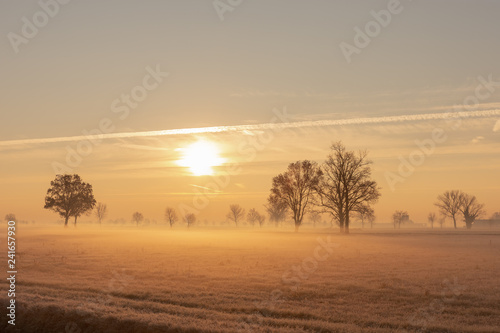 morning light in winter