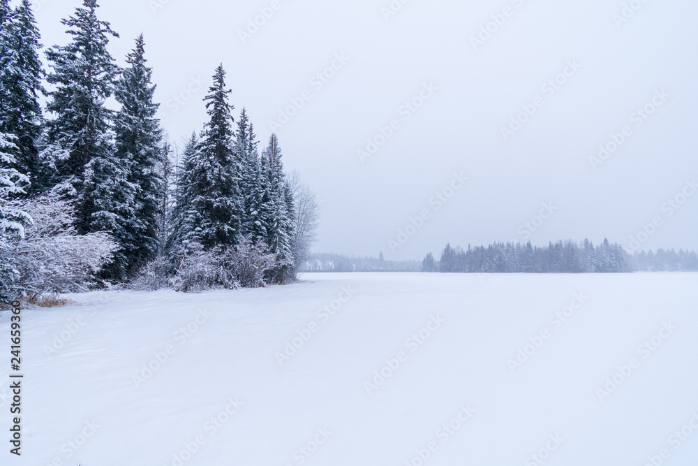 Fototapeta premium Snow Covered Canadian Lake