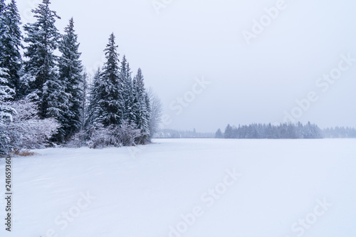 Snow Covered Canadian Lake © TSchofield