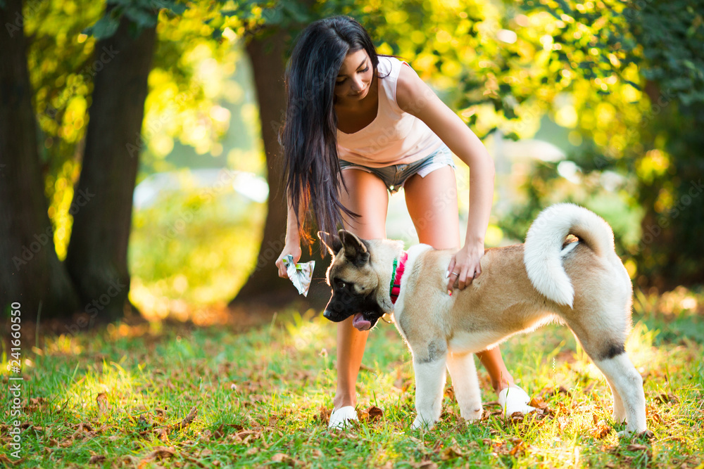 Beautiful woman playing with a dog walking in the park. Beautiful woman playing with a dog walking in the park.