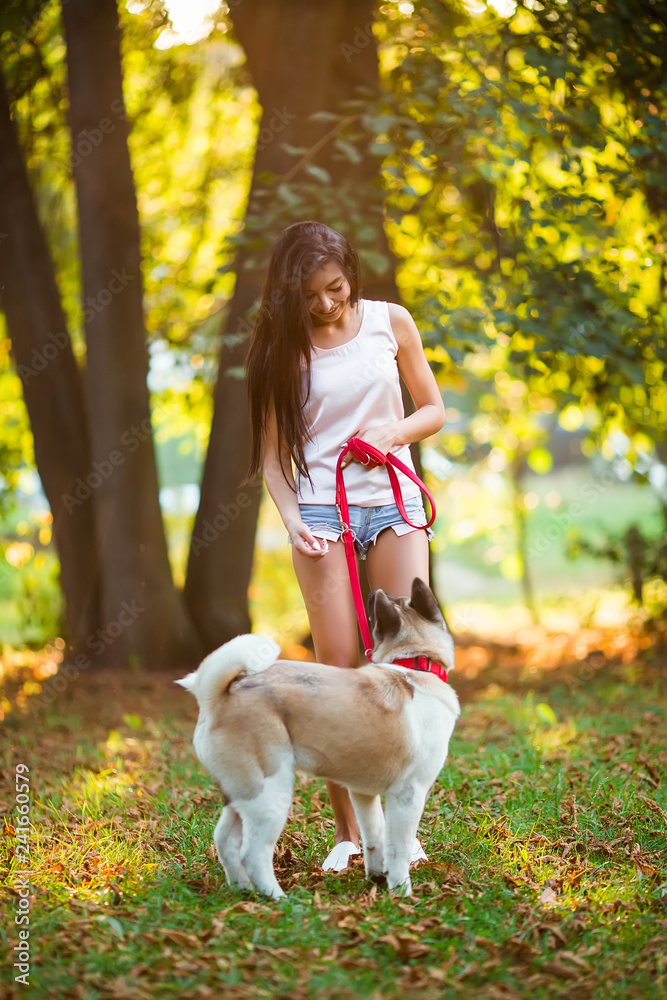 Beautiful woman playing with a dog walking in the park.