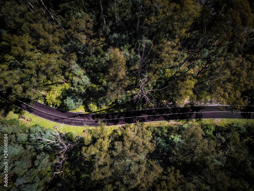 An aerial shot of a road snaking its way through the Yarra Valley Wine Region, in Victoria, Australia
