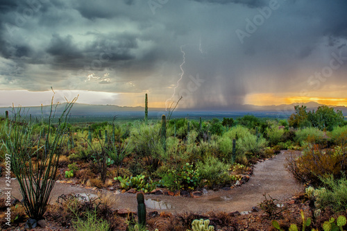 Arizona Desert Monsoon Storm with Dramatic Skies at Sunset photo