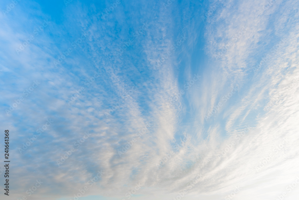 Fototapeta premium blue sky with cloud