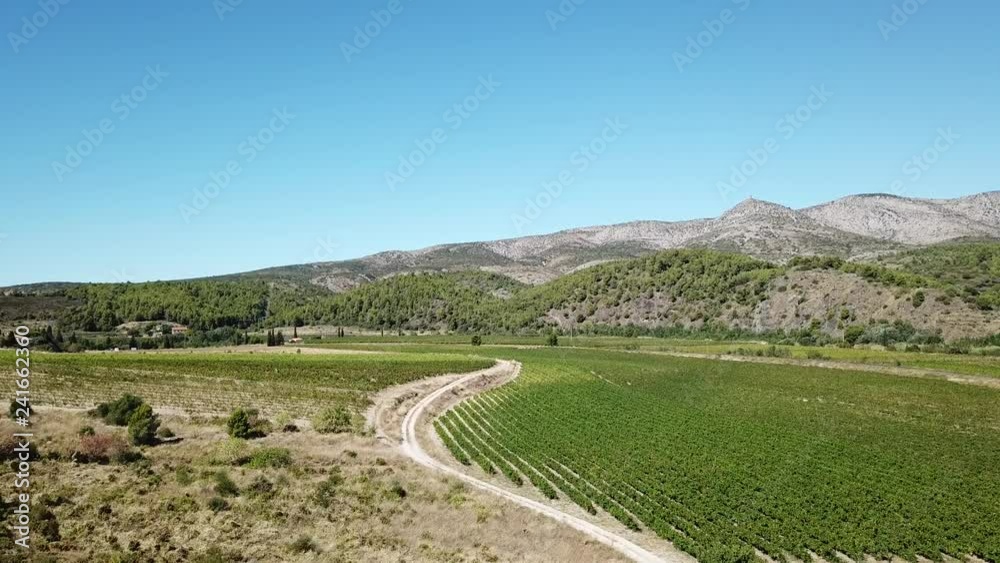Aerial view of french vineyard and mediterranean hill in eastern pyrenean, Fenouilledes in the southern of France Aerial view of french vineyard and mediterranean hill in eastern pyrenean, Fenouilledes in the southern of France