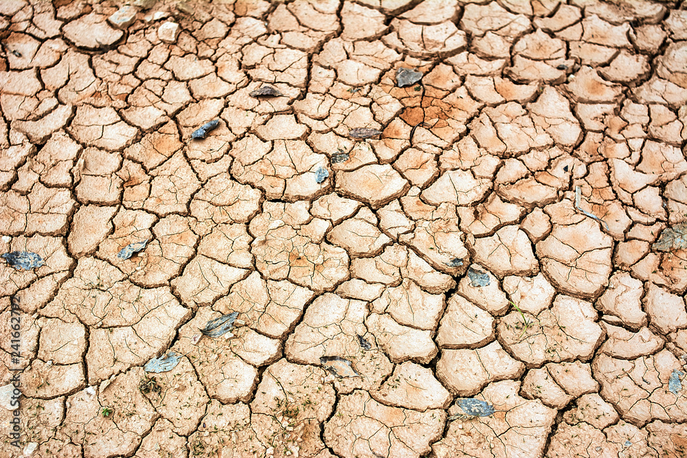 Summer river dry river bed Summer river dry river bed