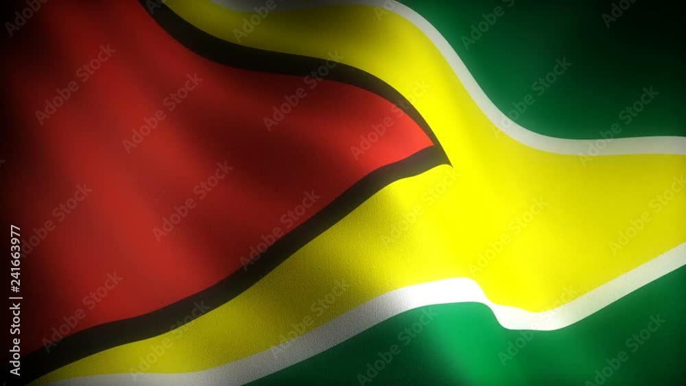 Flag of Guyana (seamless) Flag of Guyana (seamless)