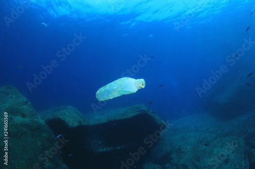 Plastic bottle pollution in ocean  © Richard Carey