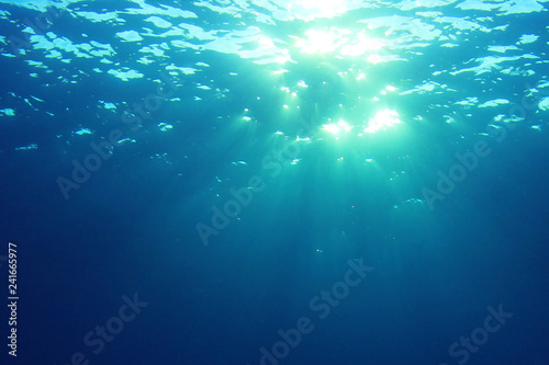 Sunlight underwater  © Richard Carey