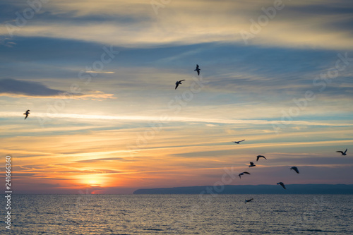 Sonnenaufgang über der Ostsee mit Möwen am Himmel