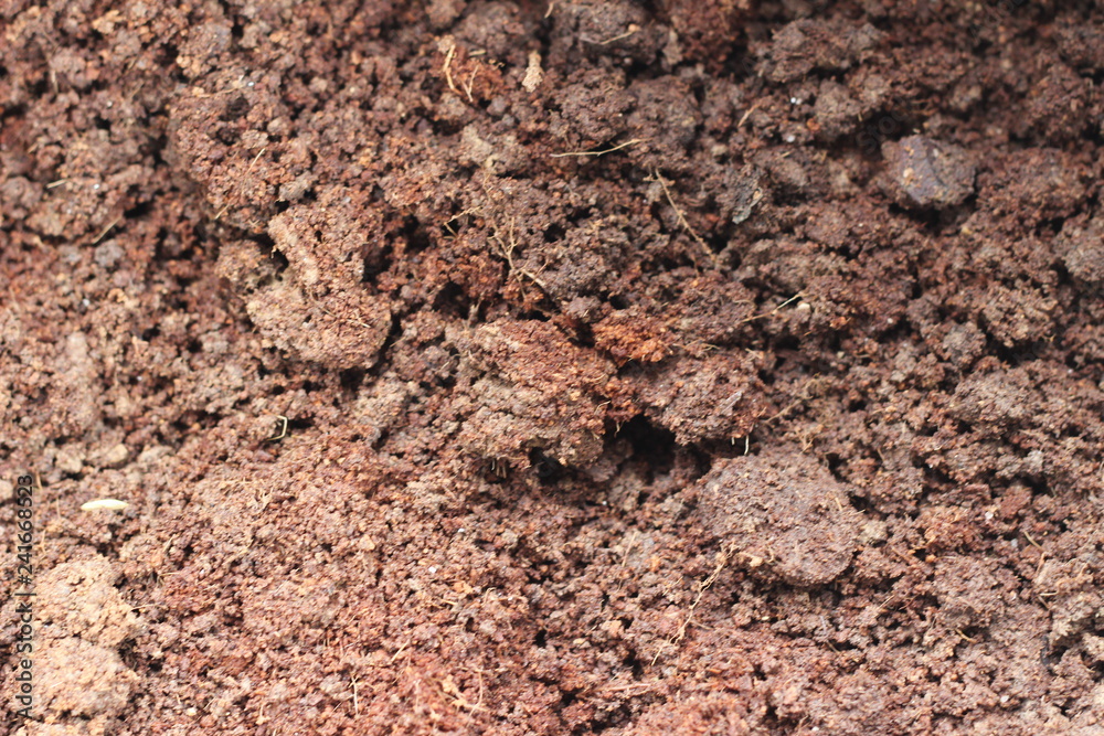 Soil texture background