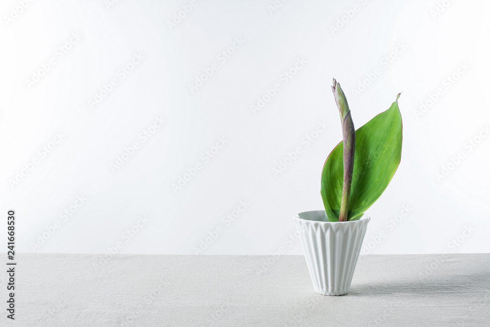 Elegant flower arrangement / flower path / canna leaf Elegant flower arrangement / flower path / canna leaf