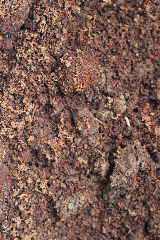 Soil texture background Soil texture background