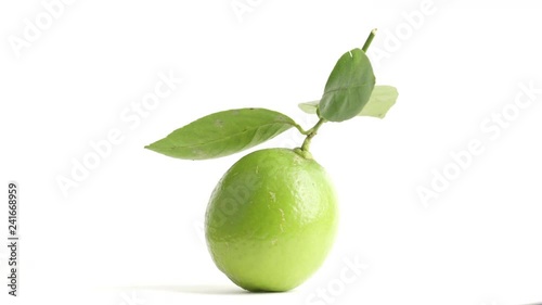lime rotate on white background