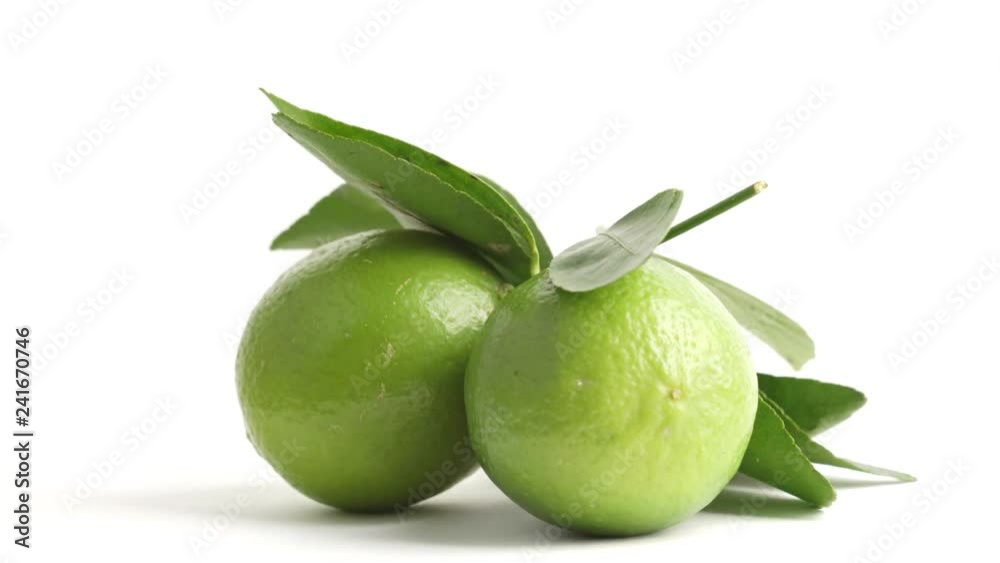 lime rotate on white background lime rotate on white background
