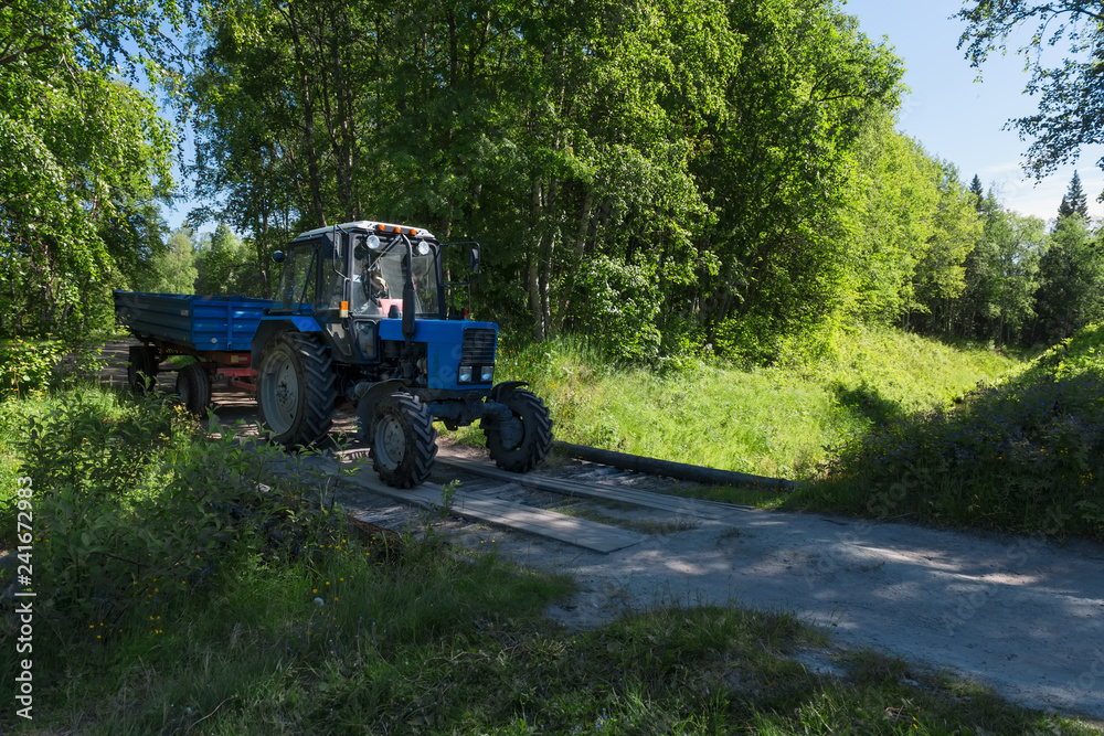 SOLOVKI, REPUBLIC OF KARELIA, RUSSIA - JUNE 25, 2018:Tractor with trailer moving along a forest road  on Solovki Island. Solovetsky archipelago, Arkhangelsk Region, Russia