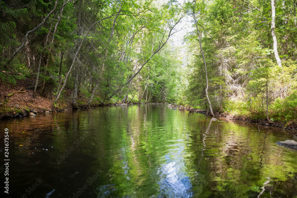 Channel of the lake-channel system of the Big Solovetsky Island on Solovki Island. Solovetsky archipelago, Arkhangelsk Region, Russia