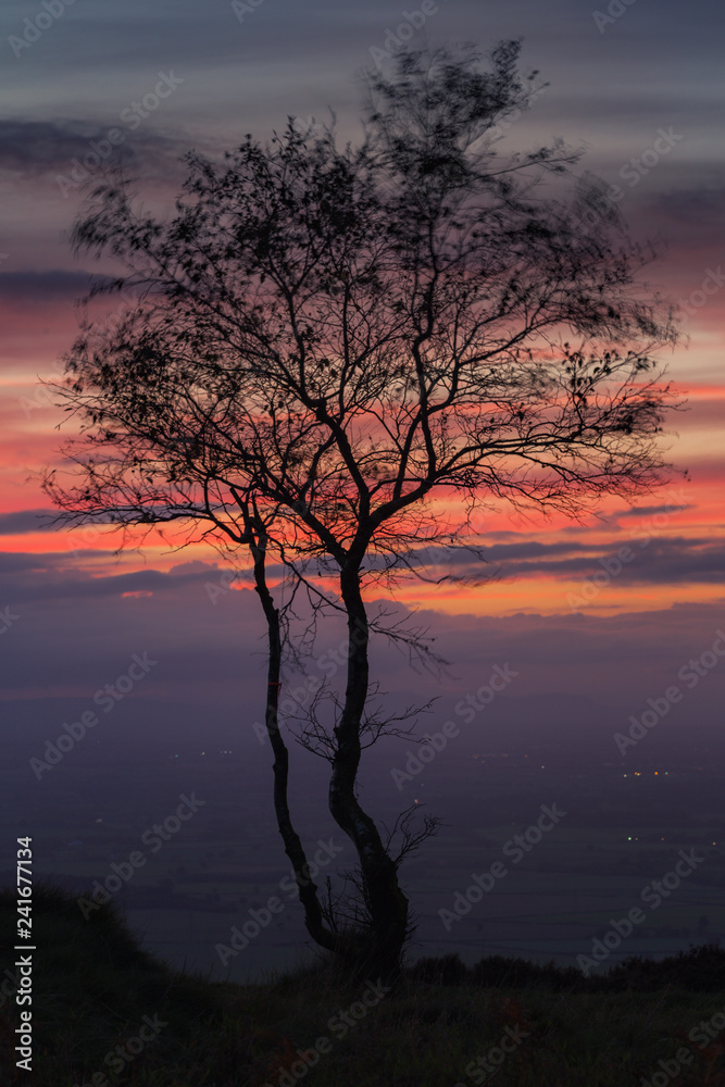 Silhouette of Alone Tree Against  Dramatic Twilight Sky