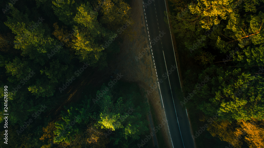 Mountain road and autumn trees above the forest. Yellow, red and green nature, high top view. Aerial drone shoot with wonderful texture.