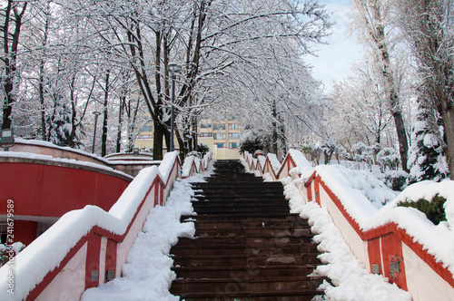 Snowy stairs. photo