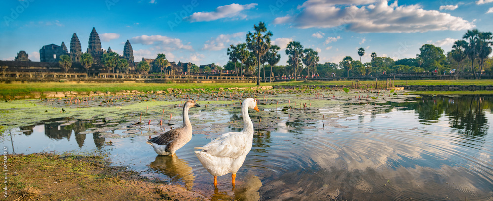 Fototapeta premium Angkor Wat temple at sunset. Siem Reap. Cambodia. Panorama