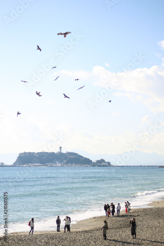 海