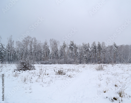 Beautiful fairy-tale winter landscape. Much snow.