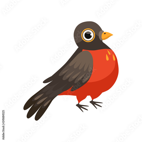 Colorful beautiful robin bird vector Illustration on a white background