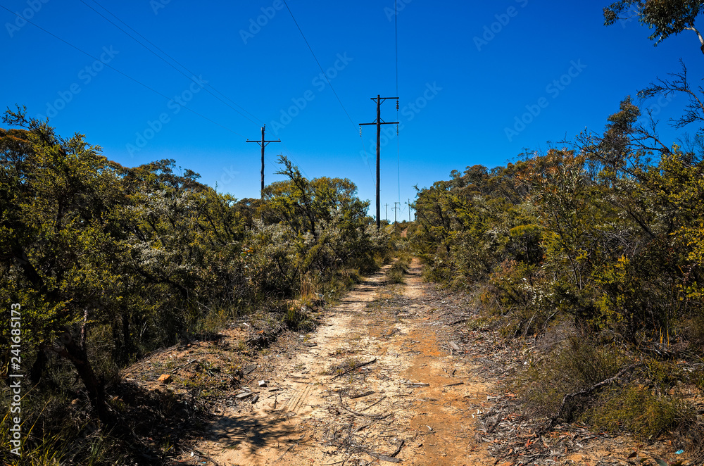 Dirt track in the Australian bush