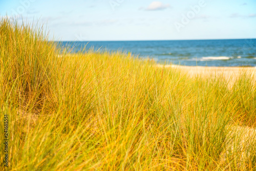 beach of the Baltic sea with beach grass and park bench in back light