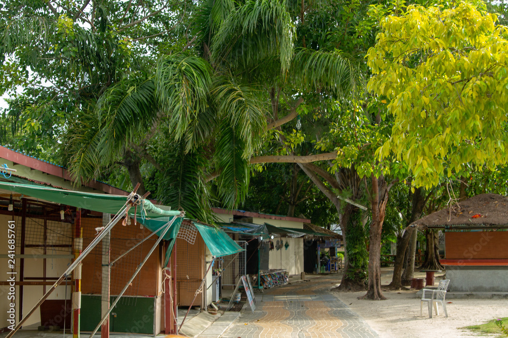 Green Area Near Phi Phi Beach Green Area Near Phi Phi Beach