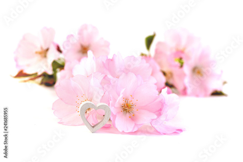 Valentines Day background with pink cherry blossoms. Valentines card with heart. 