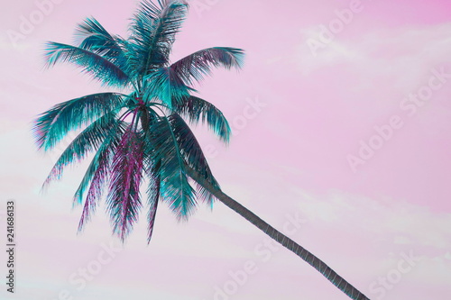 Neon palm on pink sky background. Creative unusual modern background