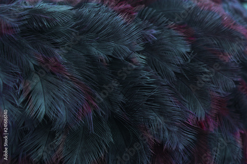 abstract fractal neon and pink feathers background