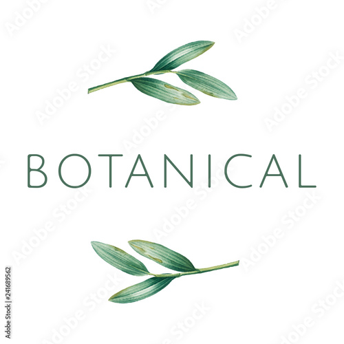 Green botanical logo design vector