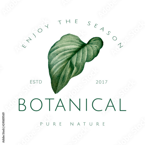 Botanical pure nature logo vector