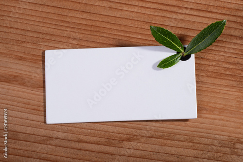 leafs on white card