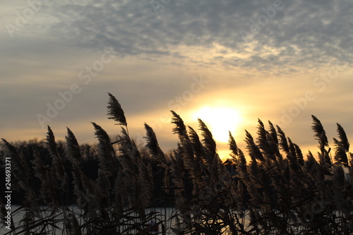 Sunset rye 
