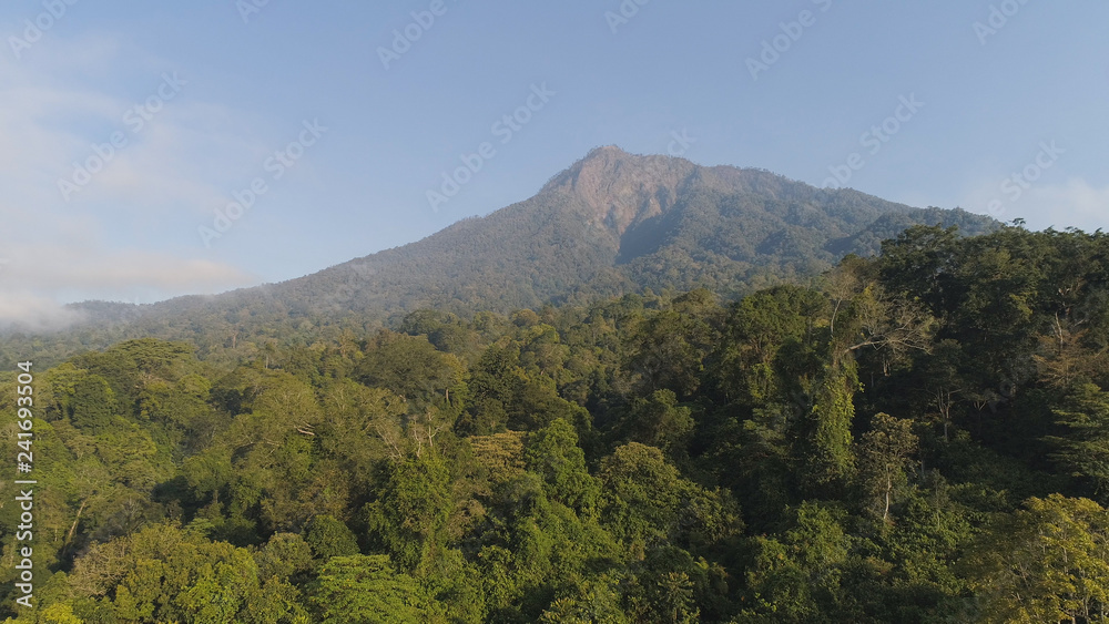 aerial view tropical forest with lush vegetation and mountains, java island. tropical landscape, rainforest in mountainous area Indonesia. green, lush vegetation.